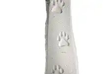 Kvit med potespor: Foto: Federico Cavicchioli